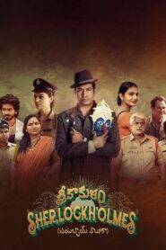 Srikakulam Sherlock Holmes (2024) Hindi Dubbed WEBRip